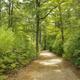 Thousand Trails Gateway to Cape Cod