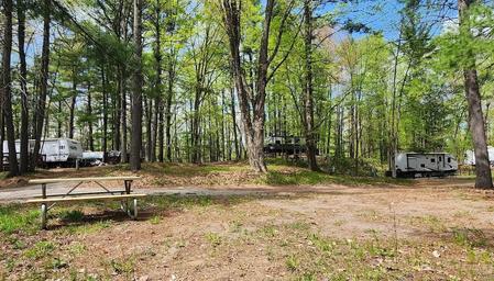 RV parked at a peaceful wooded campsite with tall trees, sunlight filtering through the leaves, and a gravel road leading into the forest, ideal for nature camp