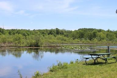 Small lakeside view with picnic table at the water’s edge — supports site reference to natural scenery/ponds on the campground.