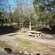 SMITH SPRINGS - picnic area