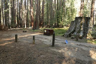 Accessible Campsite