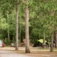 Several tents and picnic tables are set up among tall trees in a wooded campground area, with a dirt path running through the scene.