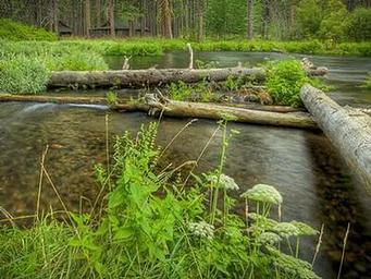 CAMP SHERMAN CAMPGROUND