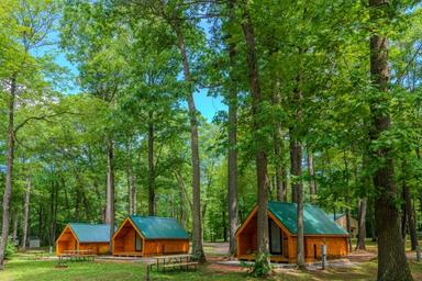 Cluster of on‑site cabins among trees — clear photo of cabin lodging and wooded setting from the property photo gallery.