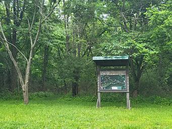 Hide n Seek at Coon Creek