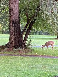 Wildwood Recreation Site