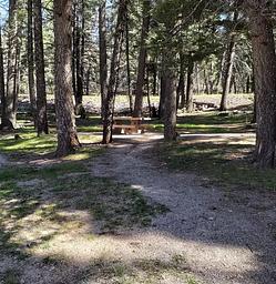 1, Loop: ASPEN