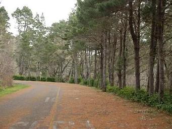 Bluebill campground road entrance