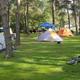 tent sites at pine creek campground