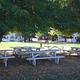 Savenac Bunkhouse picnic area