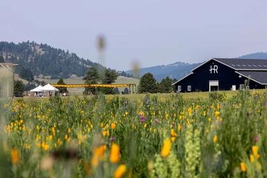 Meadow foreground with wildflowers and the barn in the midground — highlights the ranch scenery and landscape context around the venue.