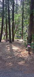 Windy Point Campground Campsite #10