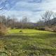 Pet-Friendly Glamping and Camping in Western New York: Bring Fido Along!