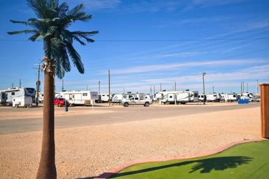 Ground-level view of RV rows and site spacing with foreground landscaping — shows typical RV pitches and park surface (source page: homepage).