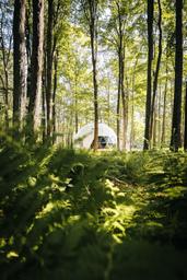 Camp Ferncrest - Promised Land