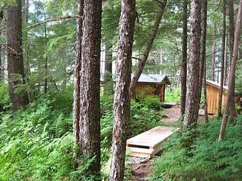 PETERSBURG LAKE CABIN4