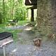 GREENBRIER PICNIC PAVILION grill