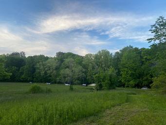 Low Meadow Farms