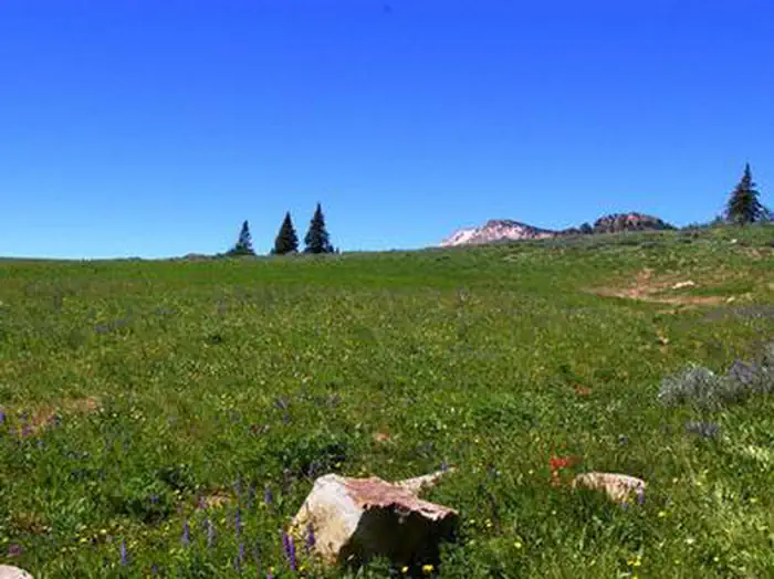 Thompson Flat