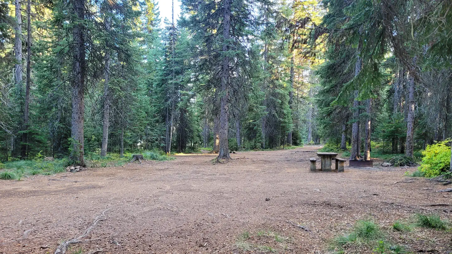 Fish Creek Group Use