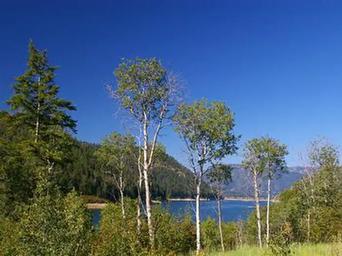Big Elk Group Campground