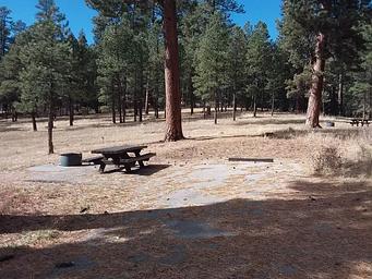 Rio de las Vacas Campground Site 10