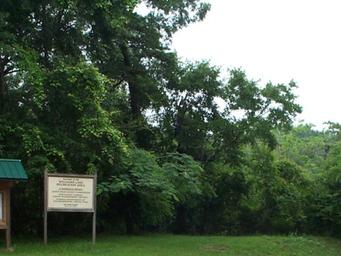 Campground image 2