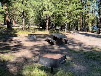 Campsite with fire ring, picnic table, and pedestal gril