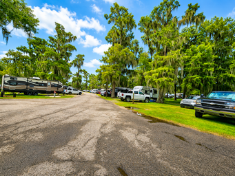 Wide shot of an RV row with hookups and mature trees — good representation of the campground’s RV sites and road layout (image from the site homepage).