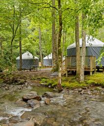 Group of yurts beside a stream in a forested area — strong, scenic photo that corresponds to the site’s yurt accommodations and the campground’s creekside setting.