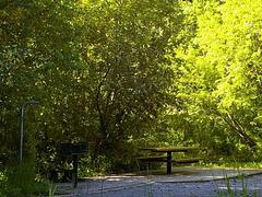 Tables at Malad Summit