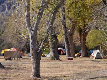 Rio Grande Village Group Campground (Big Bend, TX)