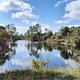 Gator Head Campground pond