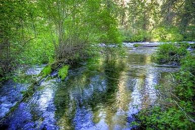 CANDLE CREEK CAMPGROUND