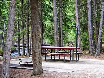 Middle Fork Campsite with Creek