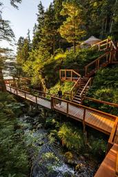 Shearwater Cove