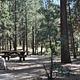 Shade & Picnic Tables of the San Gorgonio Campground..