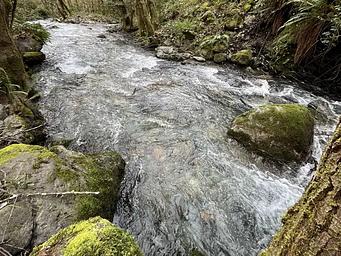 Pearch Creek February 2025