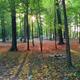 Campspot slideshow image 5