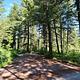 A campsite at Scout Mountain Campground