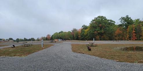 Empty campground with picnic tables and autumn trees.