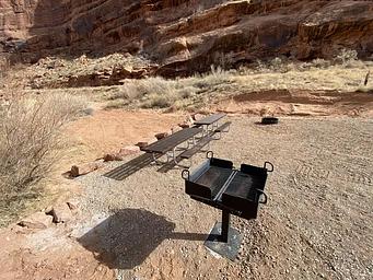 Group campsite picnic tables, fire pit, and grill