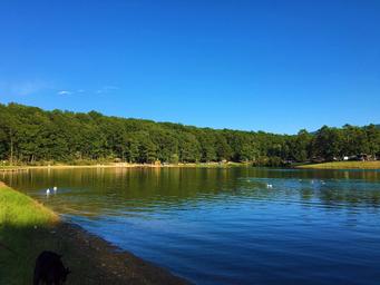 Stoney Creek Resort & Campground