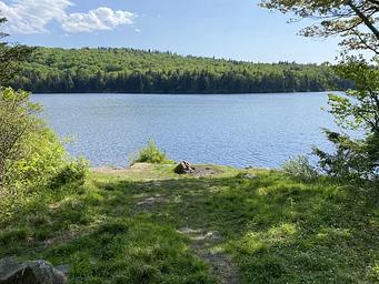 A photo of facility Grout Pond Campground with Waterfront