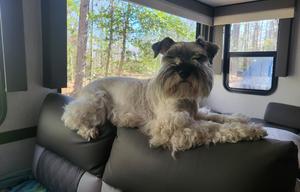 Family Bunkhouse RV | Sleeps 6+ Comfortably