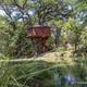 Small round treehouse by a pond with reflected water and natural vegetation — shows on-site scenery and setting, useful for highlighting grounds and water feature (homepage imagery).