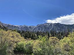 Amphitheater (CO)