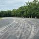 Jack Briscoe Parking lot