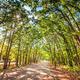 Thousand Trails Lake Tawakoni