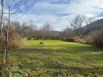 Pet-Friendly Glamping and Camping in Western New York: Bring Fido Along!